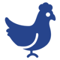 KÜMES OTOMASYONU
