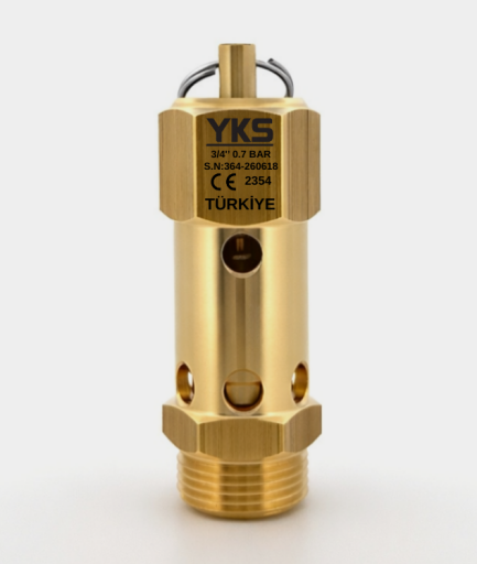 3/4'' 0.1 Bar - 1.9 Bar Ce Belgeli Mühürlü Düşük Basınç Emniyet Ventilleri