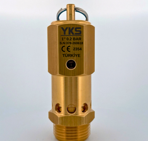 1'' 0.1 Bar - 1.9 Bar Ce Belgeli Mühürlü Düşük Basınç Emniyet Ventilleri