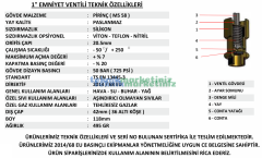 1'' 42 BAR Sabit Basınçlı Mühürlü CE Belgeli Emniyet Ventili YKS-702