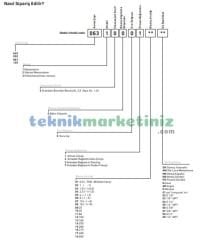 Ø63mm 0-60 Bar G1/4'' inç Alttan Bağlantılı Genel Amaçlı Kurutip Manometre, Basınç Göstergesi CL2,5 PAKKENS