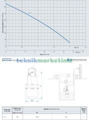 ST2 10 Metre Kablolu 3/4'' Elektromanyetik Dalgıç Pompa Temiz Su Pompası Hmax:54metre, Debi(Max):1300 Litre/saat STAR POMPA