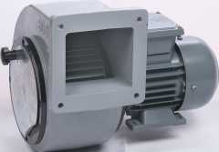 BDS 5M (250-112) Aluminyum Gövdeli Radyal Fan