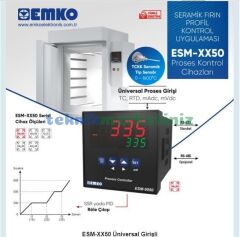 ESM-9950 220V. 2x Röle Çıkışlı + 1x 4-20mA Çıkışlı, RS-232, Üniversal Girişli PID Proses Kontrol Cihazı